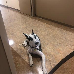 Meet your Posher, Jonelle